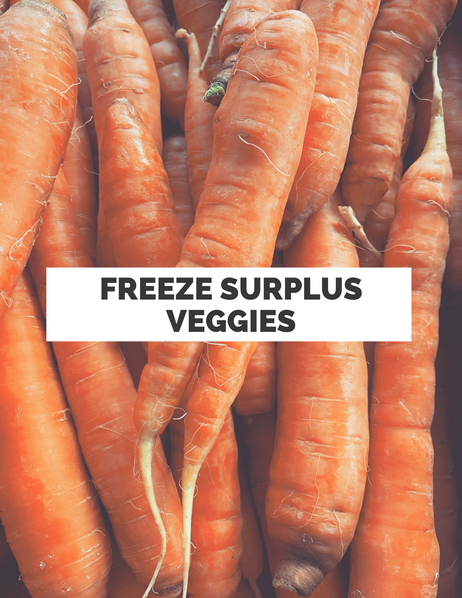 Freezing surplus veggies